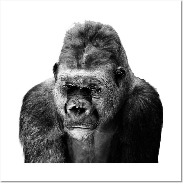 Gorilla Wall Art by Wolf Art / Swiss Artwork Photography